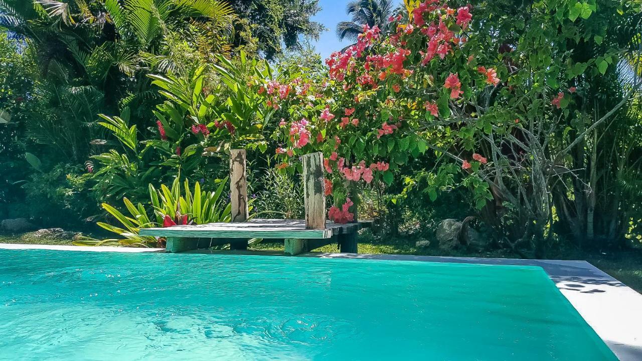 Villa Strelitzia Cabarete Extérieur photo