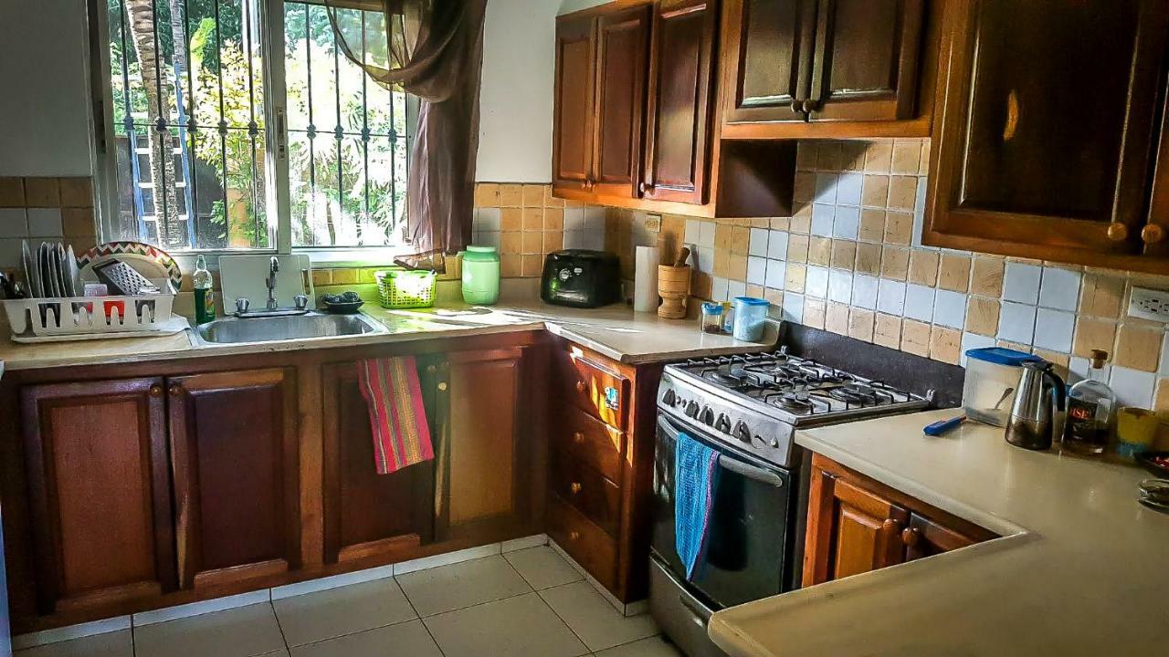 Villa Strelitzia Cabarete Extérieur photo