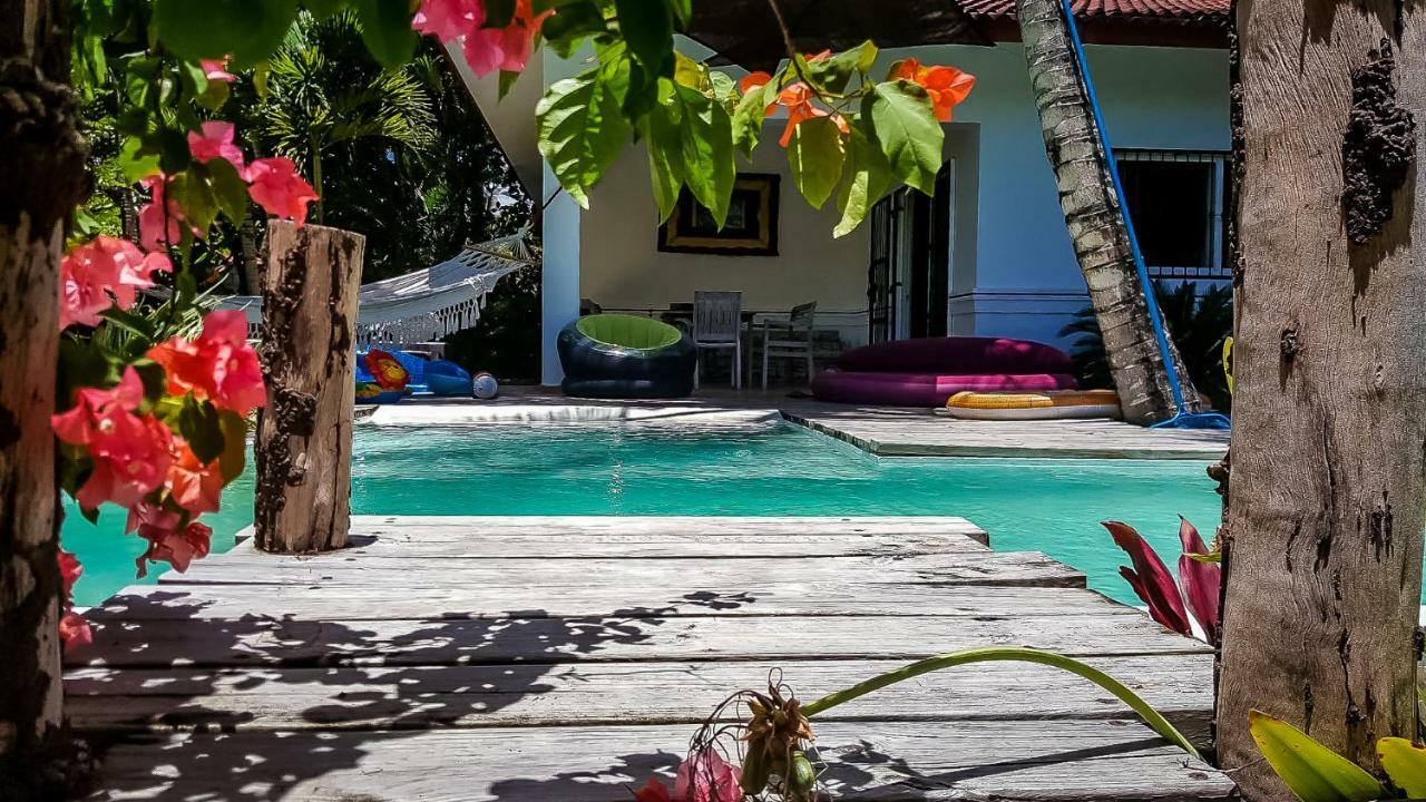 Villa Strelitzia Cabarete Extérieur photo
